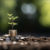 FINANCIACION DEL EMPRENDEDOR